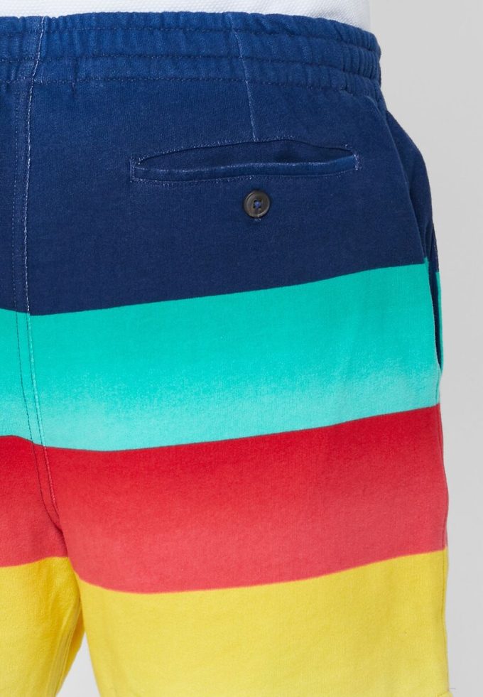Moniväriset miesten Ralph Lauren -värishortsit Moniväriset miesten Ralph Lauren -värishortsit