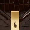 Naisten suklaa Ralph Lauren Polo ID Croc-kuvioitu kirjekuoriketju käsilaukku Naisten suklaa Ralph Lauren Polo ID Croc-kuvioitu kirjekuoriketju käsilaukku