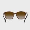 Ruskeat naisten Ralph Lauren 0Ra5293 Wayfarer aurinkolasit Ruskeat naisten Ralph Lauren 0Ra5293 Wayfarer aurinkolasit